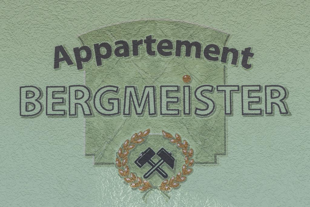 Appartement Bergmeister Rauris Bagian luar foto